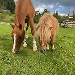 Alpen Adria Rausch 3*