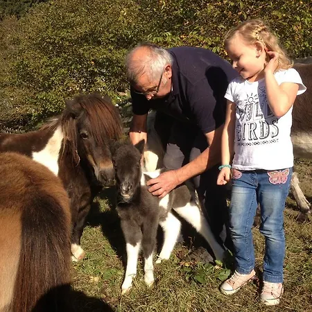 Alpen Adria Rausch 3* Ledenitzen