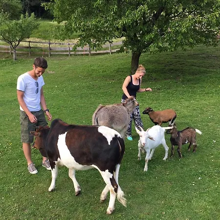 Alpen Adria Rausch Ledenitzen
