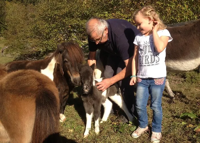 Alpen Adria Rausch 3* לדניצן