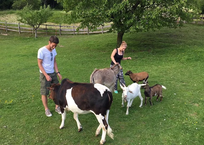 Alpen Adria Rausch Ledenitzen